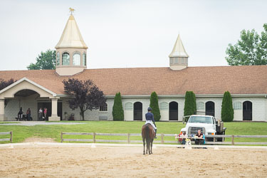 Pure Gold Stables & Equestrian Center