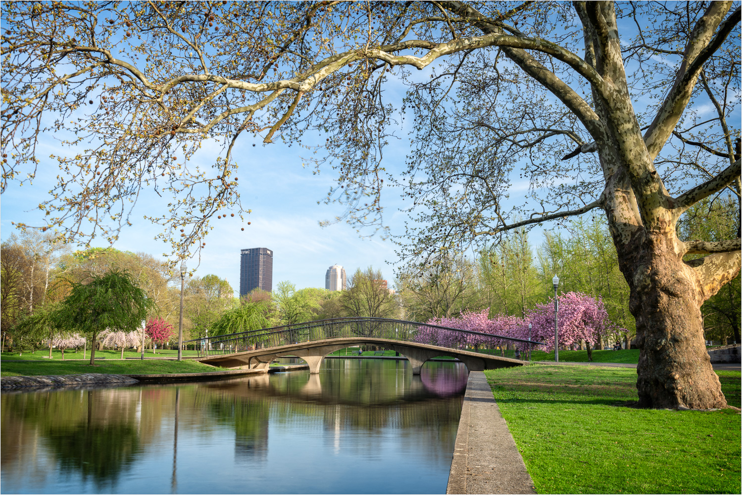 Allegheny-Commons-In-Bloom.jpg