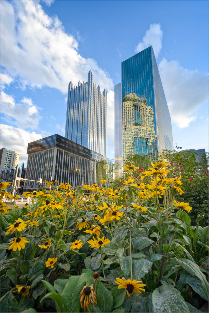 Flowers-And-Giants.jpg