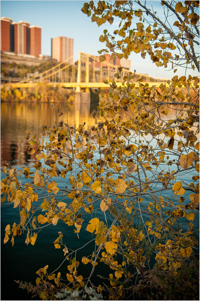 Of-Bridge-And-Leaf.jpg