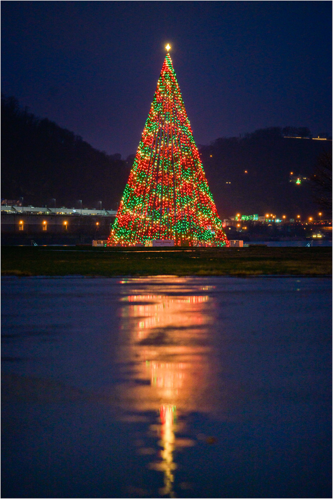 Rainy-Night-Reflection.jpg