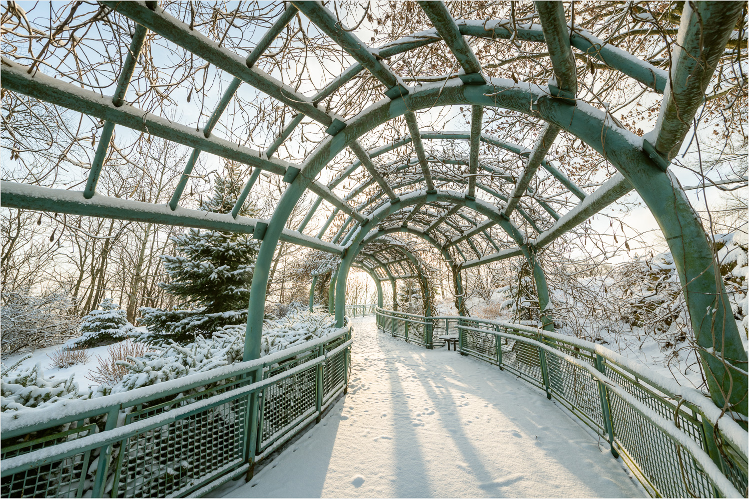 Snow-Lined-Path-To-Dawn.jpg