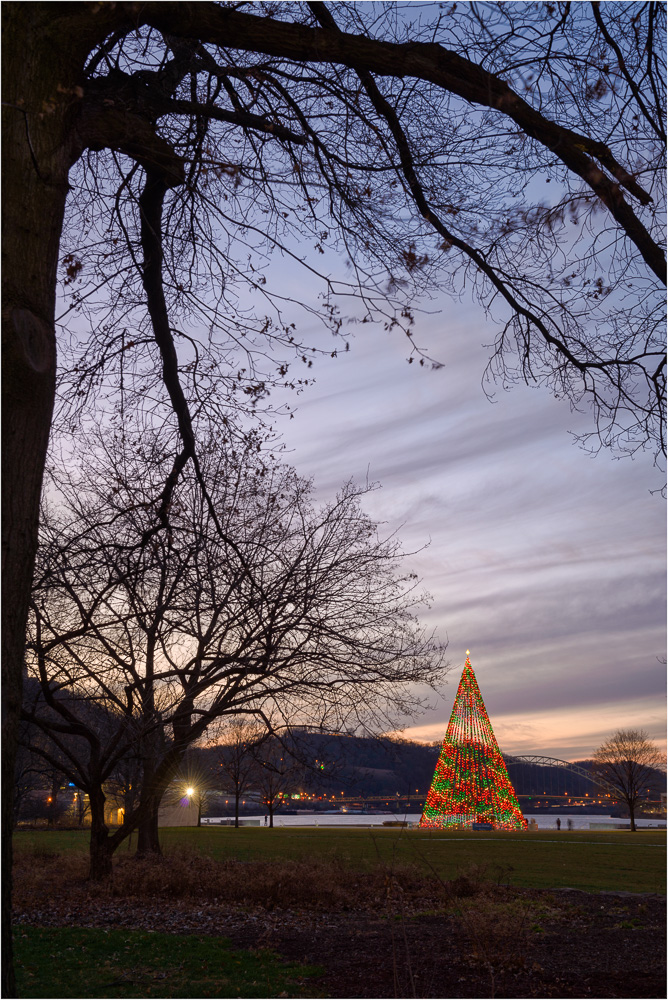 The-Tree-With-The-Luminous-Leaves.jpg