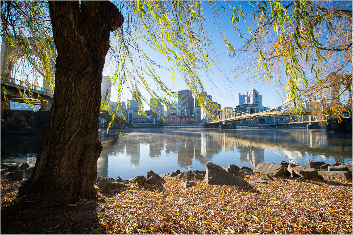 The-Willow-On-The-Allegheny.jpg