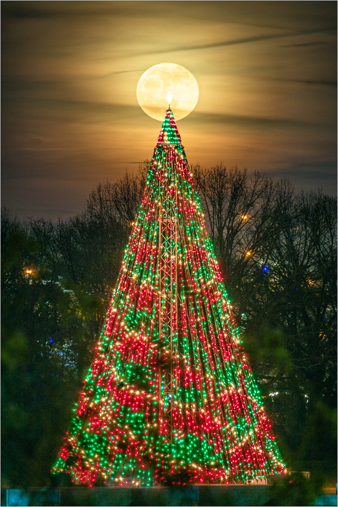 Tree-Topper.jpg