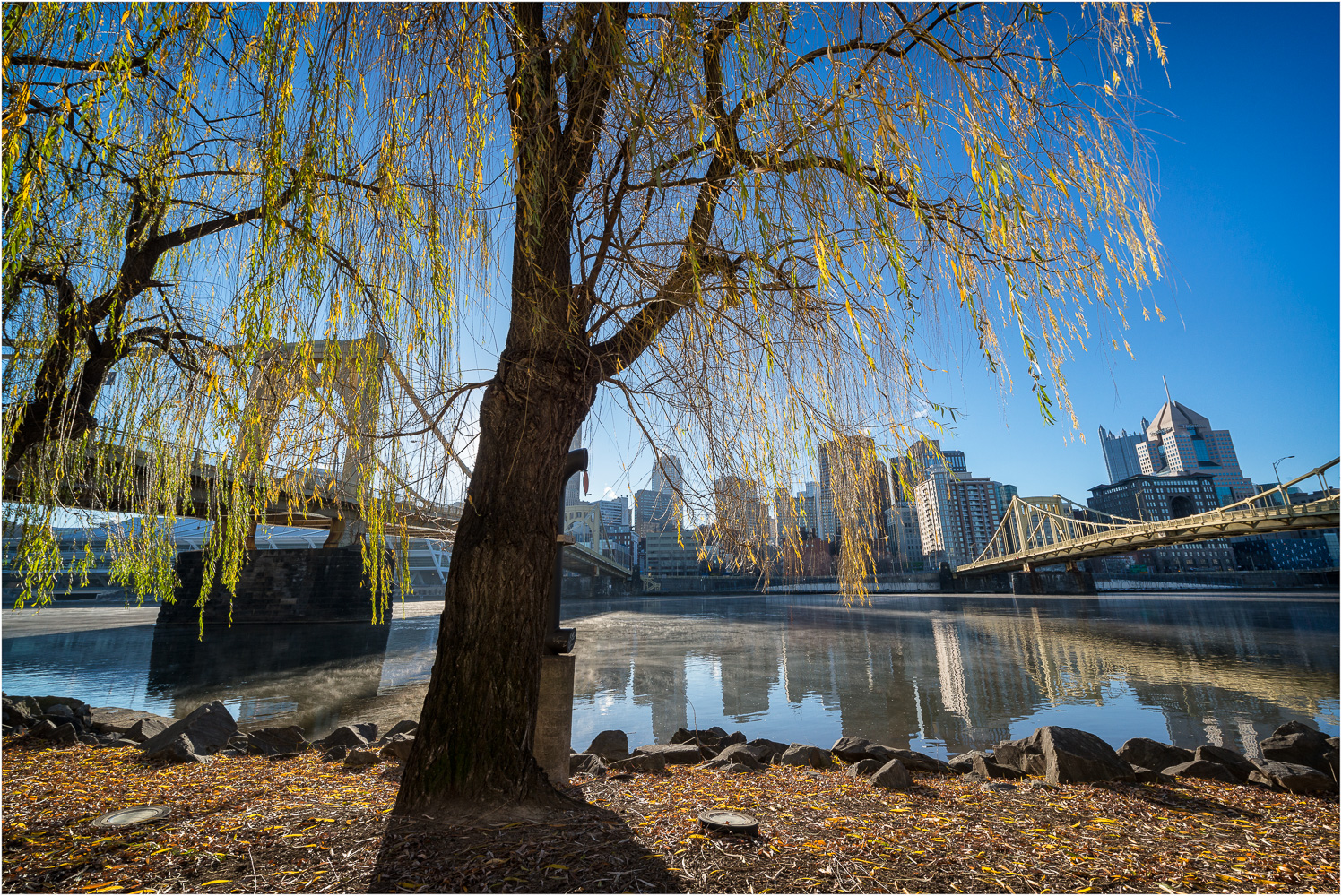 Under-The-Willow-At-Dawn.jpg