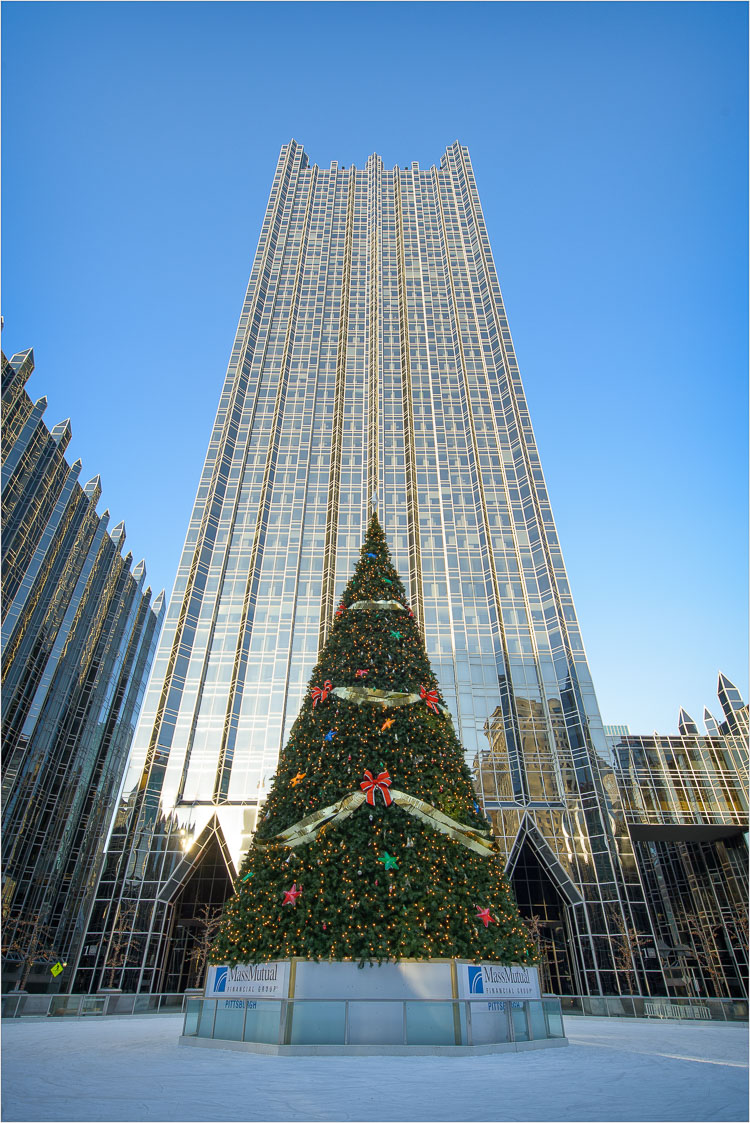 The-Tree-And-The-Tower-Of-Glass.jpg
