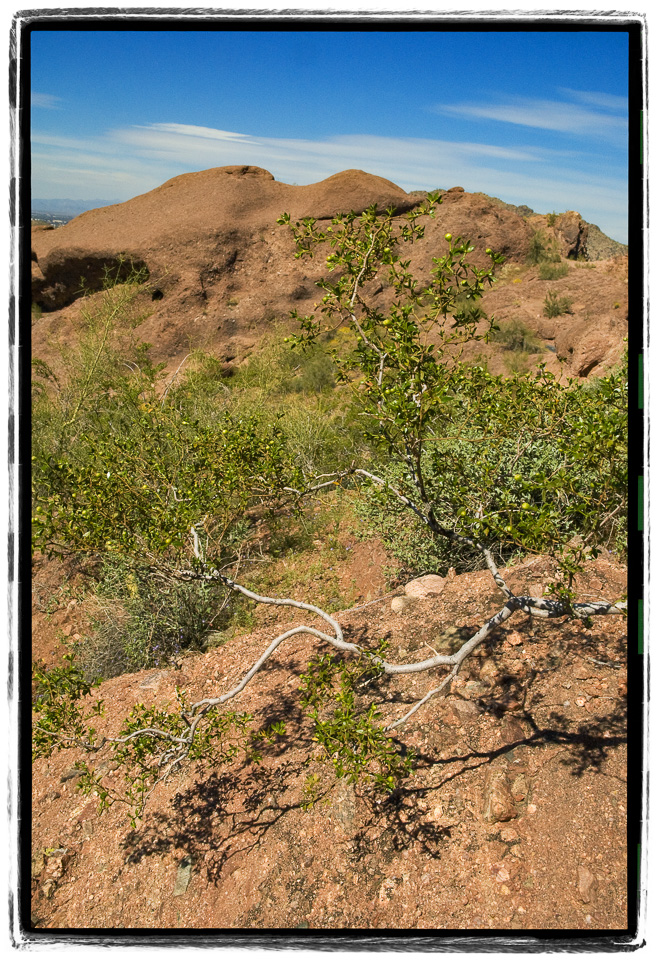 Snaking-Branch-Overlook.jpg