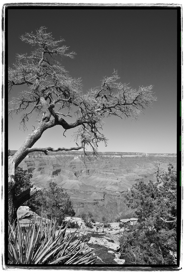 The-Grand-View-(B-W).jpg