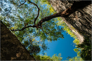 Bahamas - New Providence