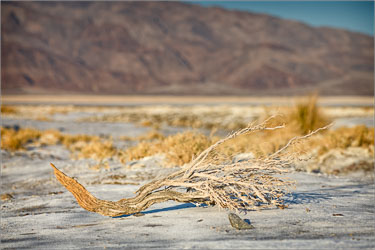 Adrift-On-The-Salt-Flat.jpg