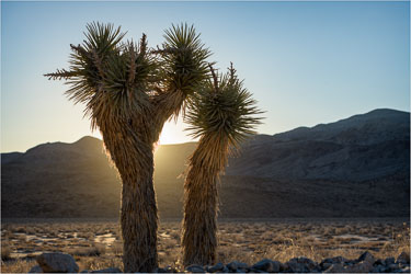 Death Valley National Park