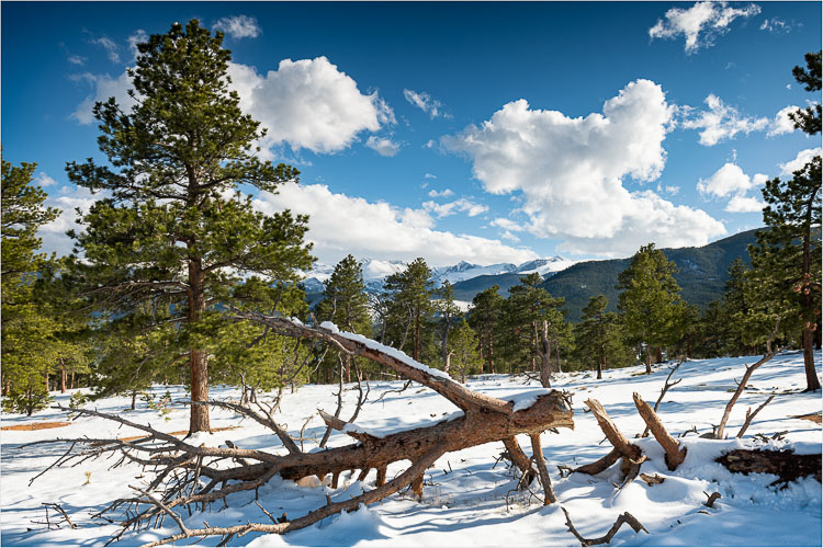 Rocky-Mountain-Landscape.jpg