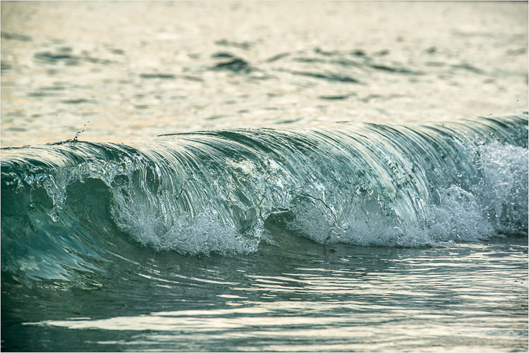 Contrast-In-The-Breaking-Wave.jpg