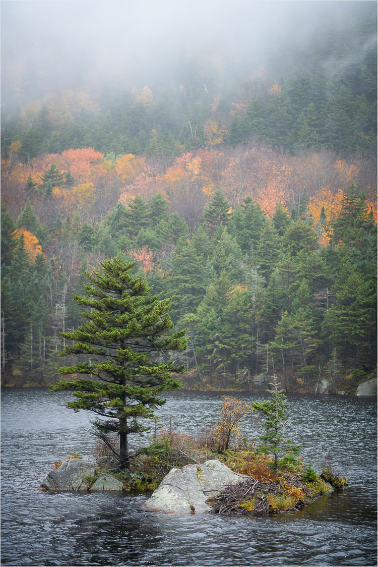 Beaver-Pond-Under-The-Fog.jpg