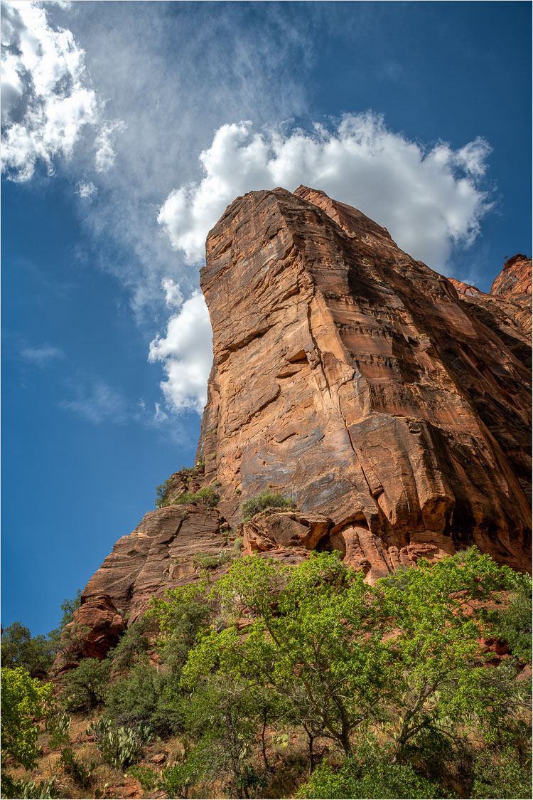 Reaching-For-The-Sky.jpg