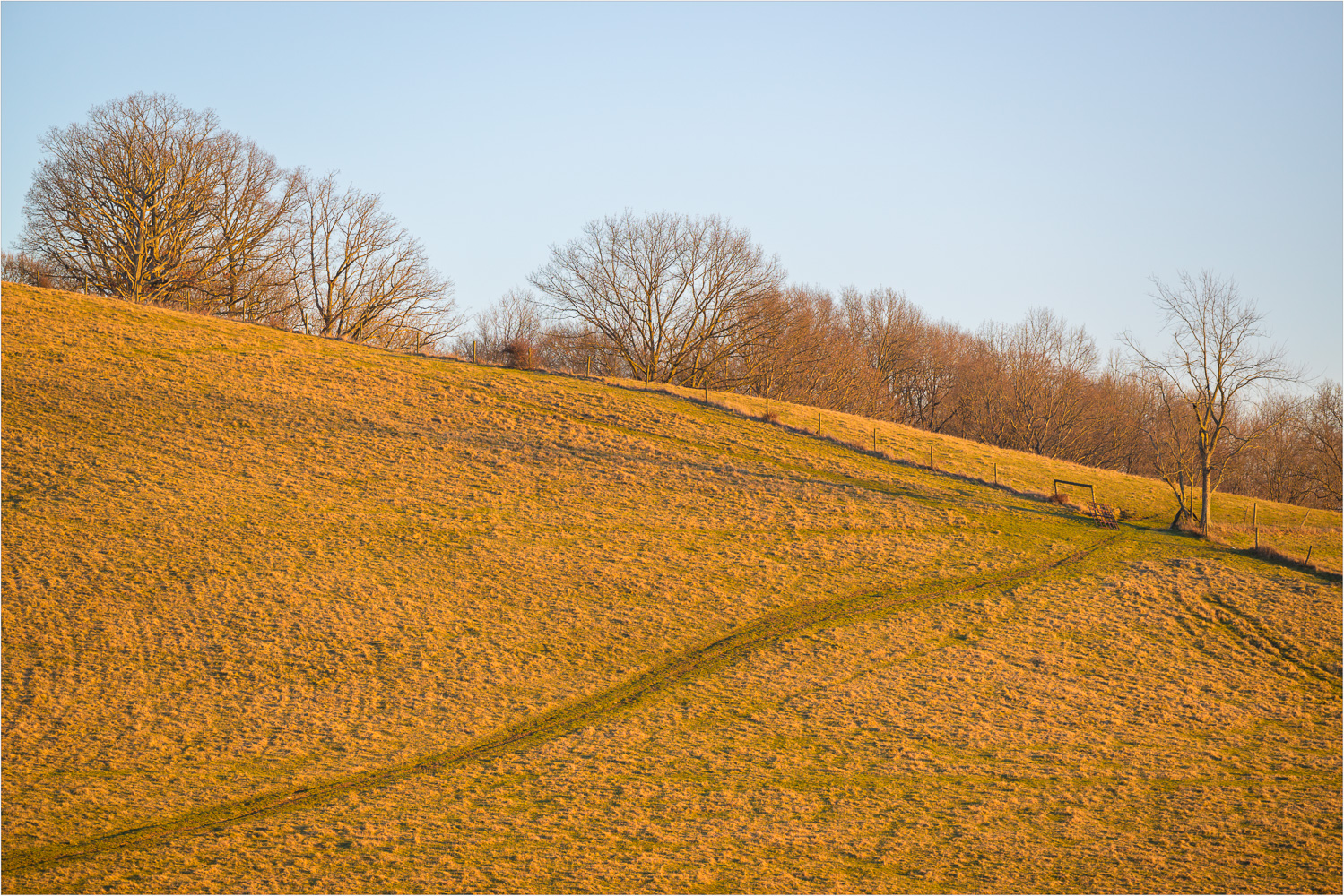 Fields-Of-Gold.jpg