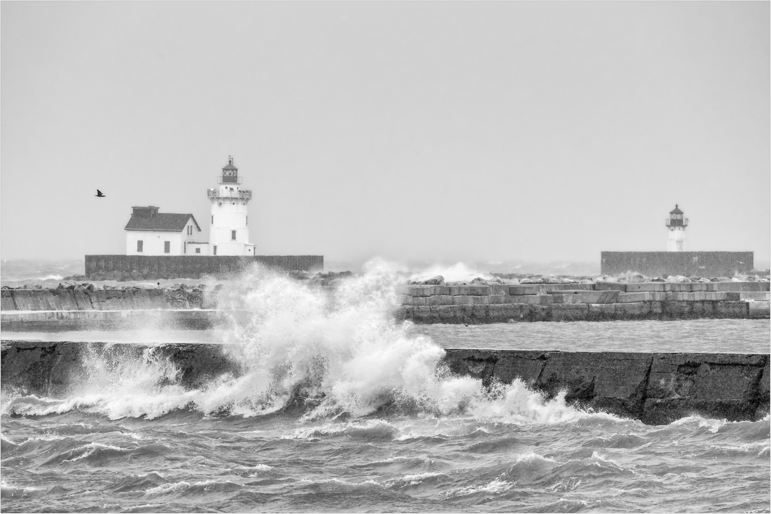 Gusty-Day-On-The-Lake.jpg