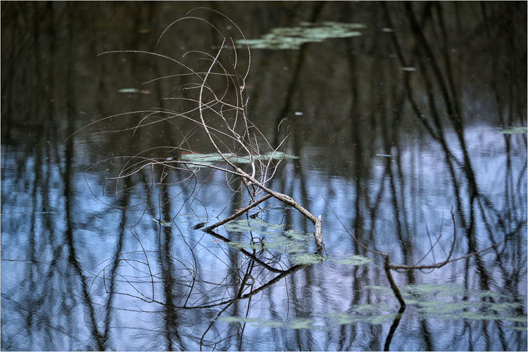 Reflected-Abstractions-At-Dusk.jpg
