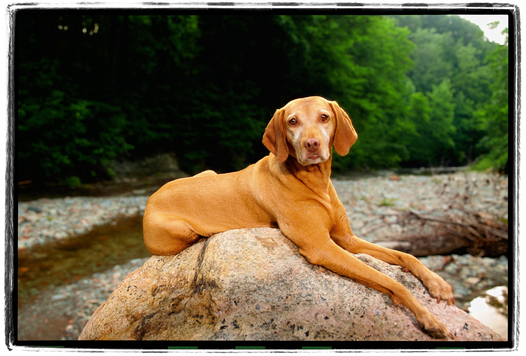 Zoe-On-The-Rocks.jpg