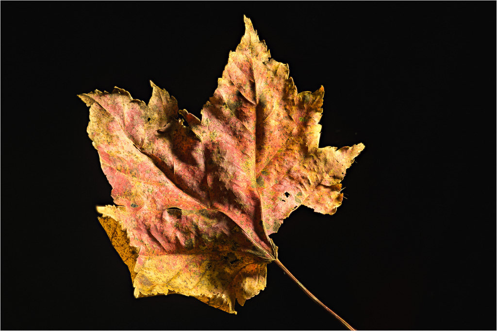 Textures-Of-The-Fallen-01.jpg