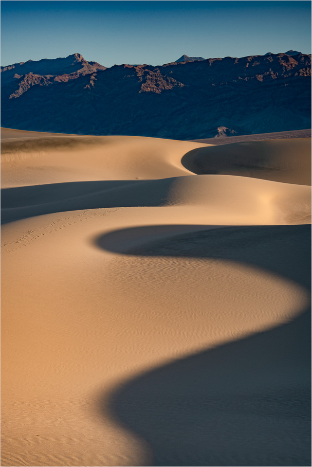 Serpentine-Shadows.jpg