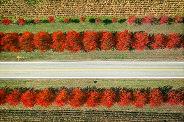 Rows-Of-Seasonal-Color.jpg