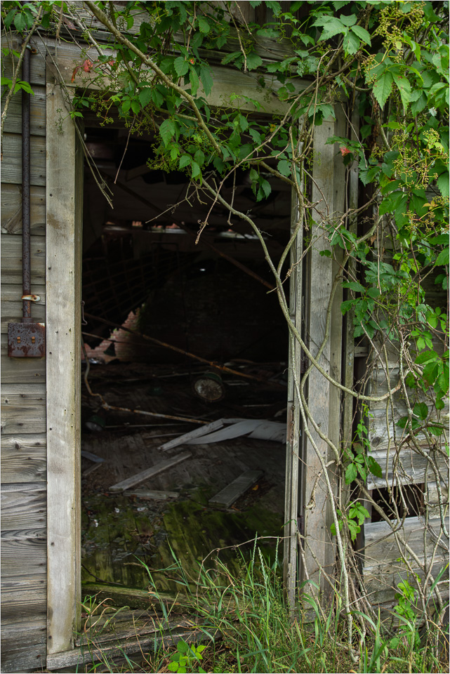 Decorated-Doorway.jpg