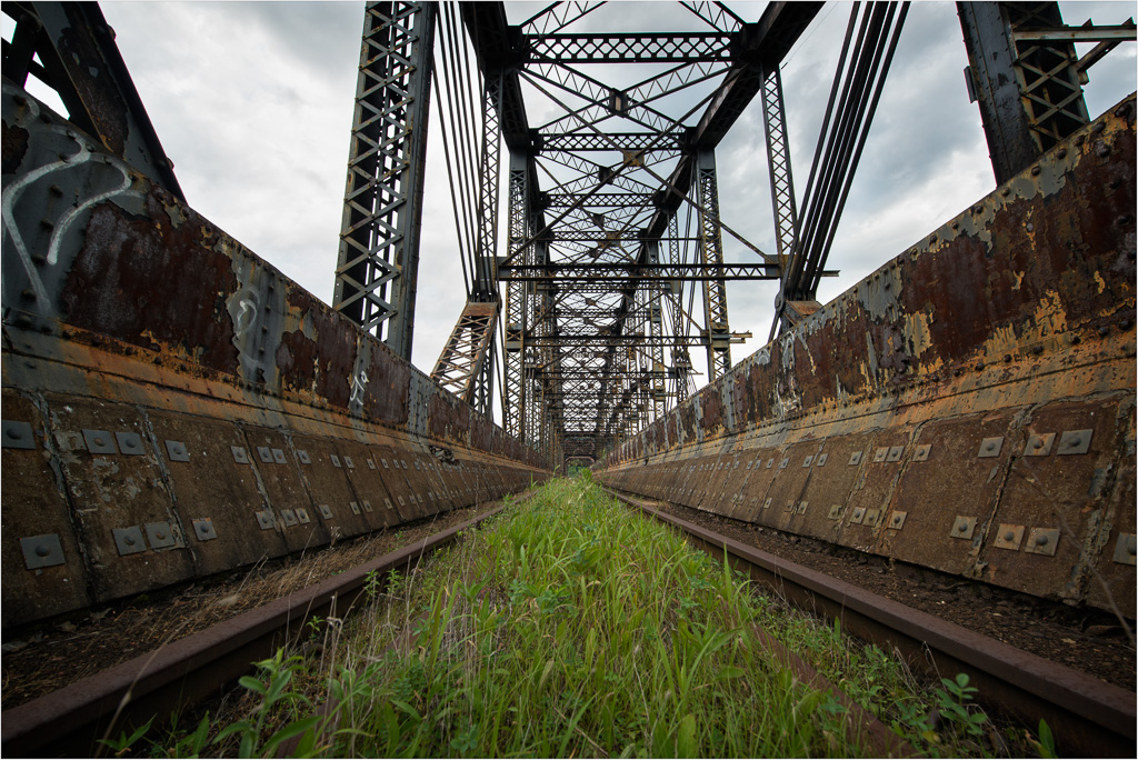Growth-Where-Rails-Once-Moved-Iron.jpg