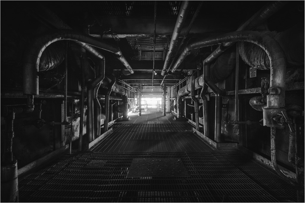 Into-The-Warm-Light-BW.jpg