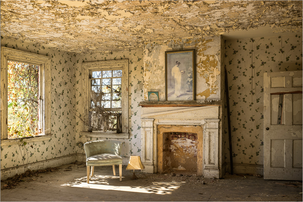 Resting-In-The-Afternoon's-Light.jpg