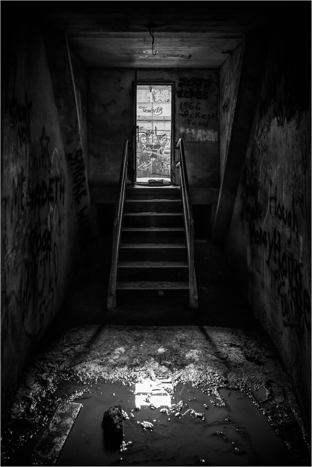 Toward-The-Light.jpg
