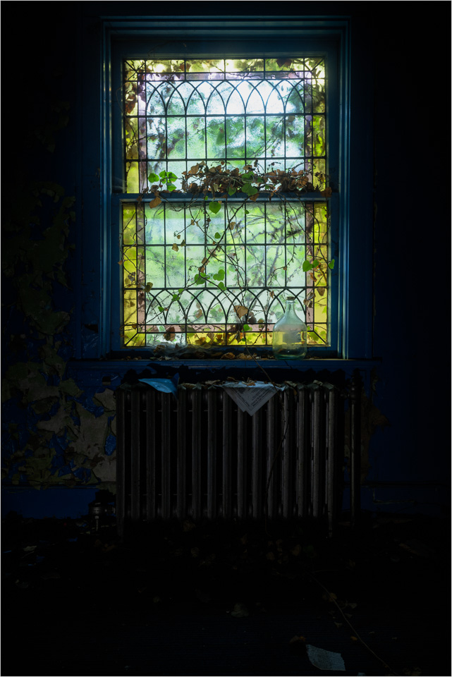 Windowlight-In-The-Blue-Room.jpg