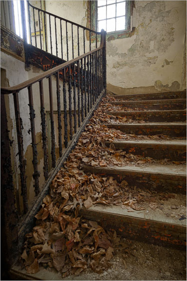 Autumn-Staircase.jpg
