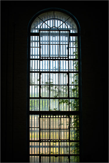 Bars,-Panes,-and-Vines.jpg