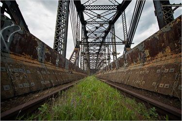 Growth-Where-Rails-Once-Moved-Iron.jpg