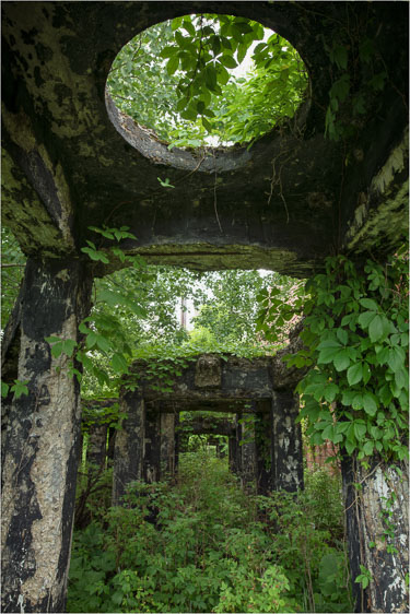 Overgrowth-On-The-Passage.jpg