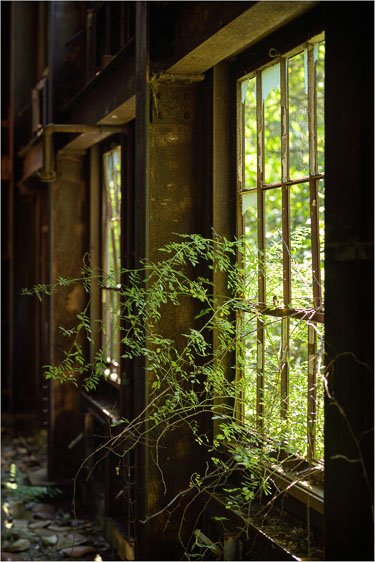 She-Came-In-Through-The-Abandoned-Window.jpg