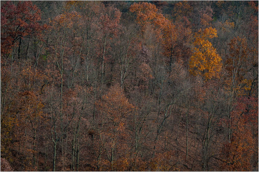 Holdouts-Amongst-The-Fallen.jpg