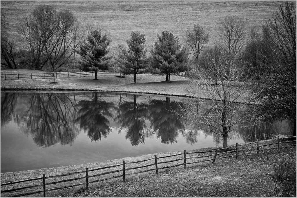 The-Mirror-Pond.jpg