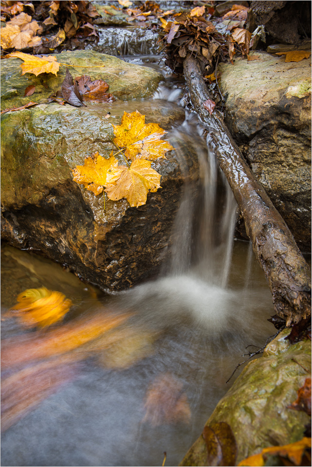 Rustle-And-Flow.jpg