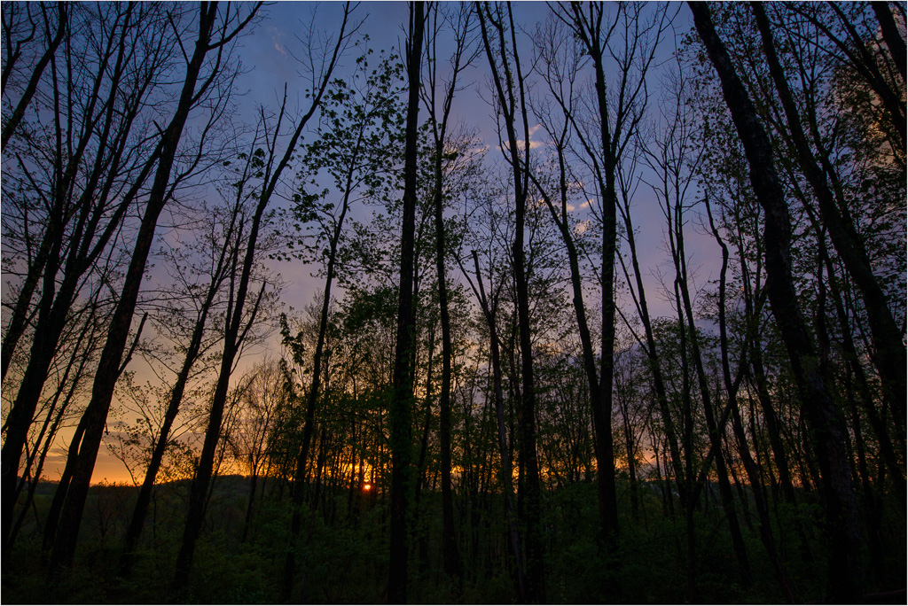 Silhouettes-And-Sunsets.jpg