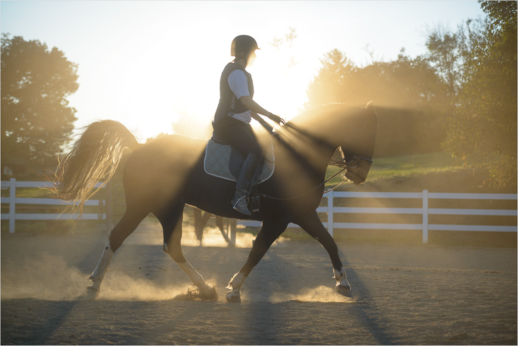 Golden-Hour-Ride.jpg