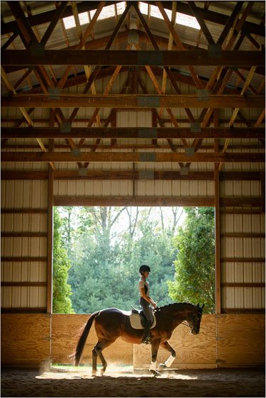 Horses