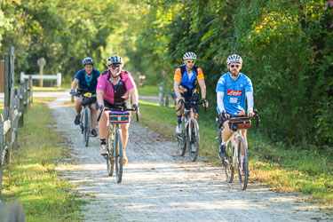 _DSC6331.jpg _DSC6331.jpg