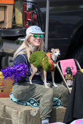 DSC_1260.jpg DSC_1260.jpg