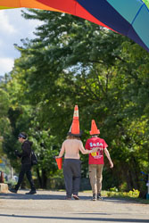 DSC_1334.jpg DSC_1334.jpg