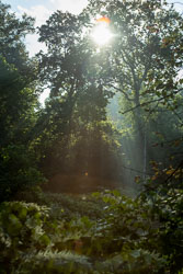 Ken-Lager-Photography-9323.jpg Ken-Lager-Photography-9323.jpg