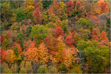 Autumns-Palette.jpg